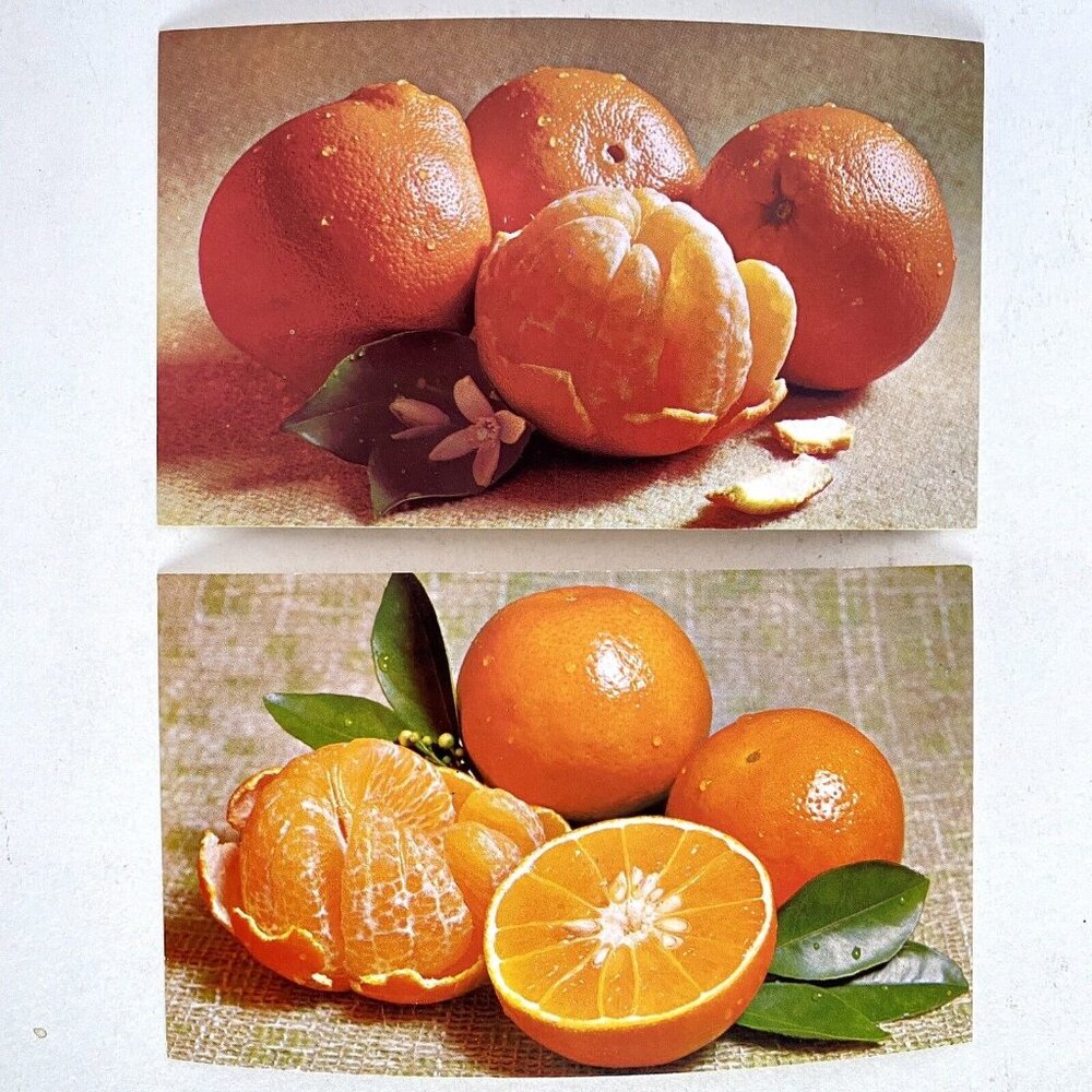 1973 Florida Citrus Council Temples Tangelos Oranges Postcards Set Of 2 NOS